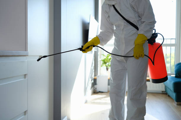 Best Health and Safety Mold Remediation in Mathis, TX