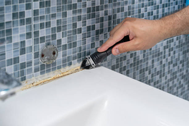 Best DIY Mold Remediation Support Services in Mathis, TX