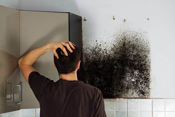 Best Industrial Mold Remediation in Mathis, TX